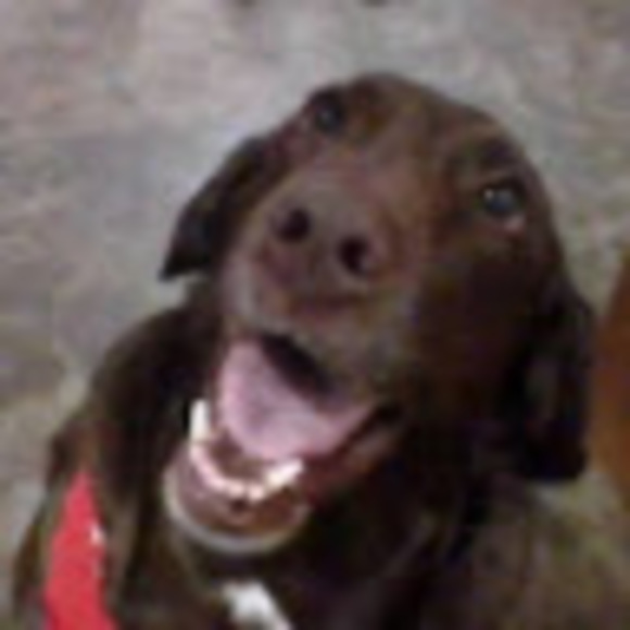 Meet your Posher, Alexa - Picture 1 of 1